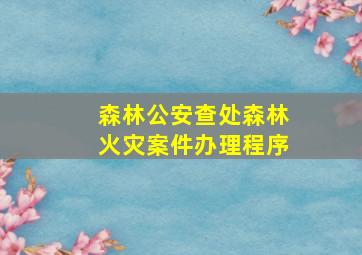 森林公安查处森林火灾案件办理程序