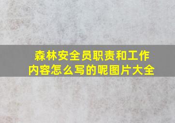 森林安全员职责和工作内容怎么写的呢图片大全