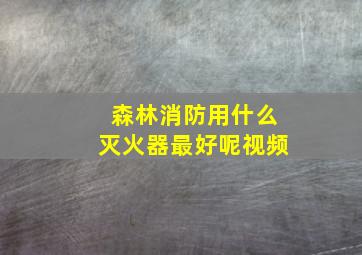 森林消防用什么灭火器最好呢视频