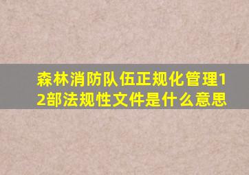 森林消防队伍正规化管理12部法规性文件是什么意思