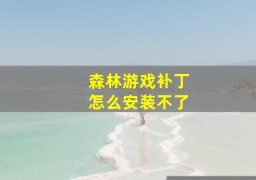 森林游戏补丁怎么安装不了