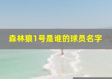 森林狼1号是谁的球员名字