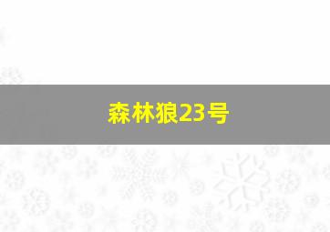 森林狼23号