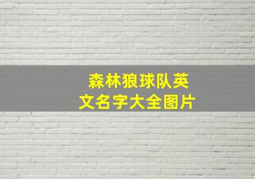 森林狼球队英文名字大全图片