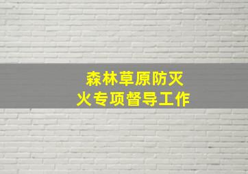 森林草原防灭火专项督导工作