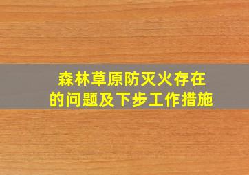 森林草原防灭火存在的问题及下步工作措施