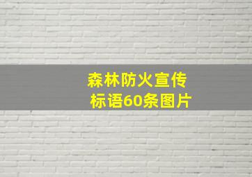 森林防火宣传标语60条图片