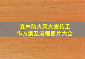 森林防火灭火宣传工作方案及流程图片大全