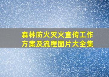 森林防火灭火宣传工作方案及流程图片大全集