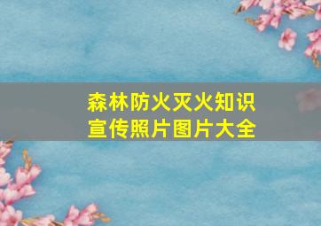 森林防火灭火知识宣传照片图片大全