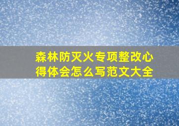 森林防灭火专项整改心得体会怎么写范文大全