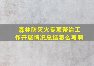 森林防灭火专项整治工作开展情况总结怎么写啊