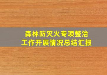 森林防灭火专项整治工作开展情况总结汇报