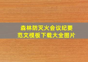 森林防灭火会议纪要范文模板下载大全图片