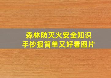 森林防灭火安全知识手抄报简单又好看图片