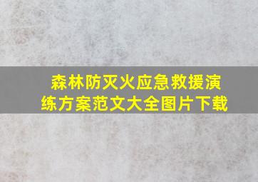 森林防灭火应急救援演练方案范文大全图片下载