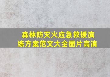 森林防灭火应急救援演练方案范文大全图片高清