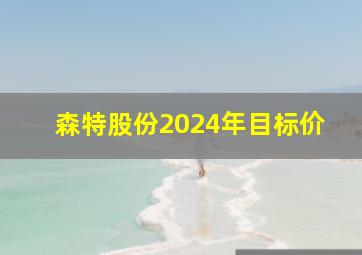 森特股份2024年目标价