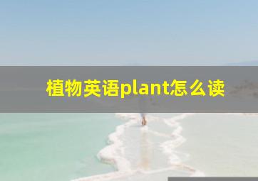 植物英语plant怎么读