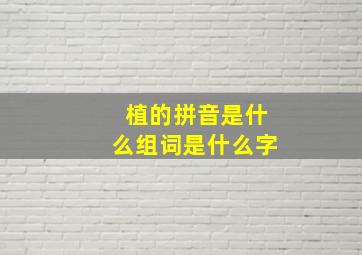 植的拼音是什么组词是什么字