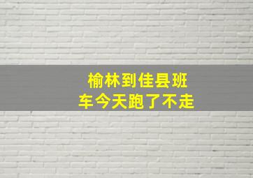 榆林到佳县班车今天跑了不走