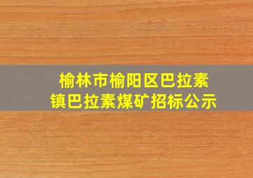 榆林市榆阳区巴拉素镇巴拉素煤矿招标公示