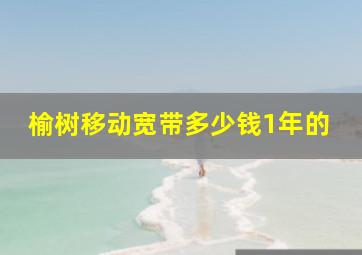 榆树移动宽带多少钱1年的