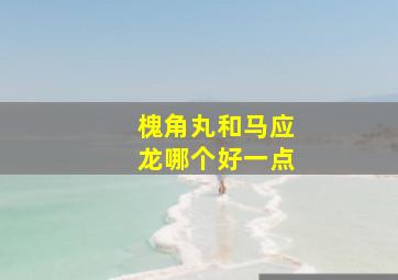 槐角丸和马应龙哪个好一点