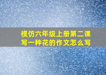 模仿六年级上册第二课写一种花的作文怎么写