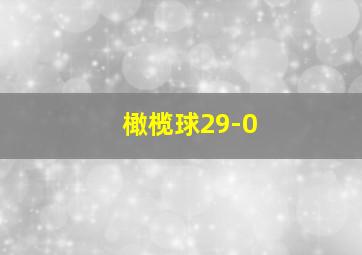 橄榄球29-0