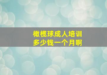 橄榄球成人培训多少钱一个月啊