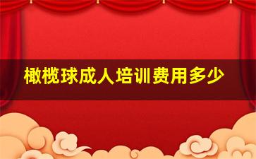 橄榄球成人培训费用多少