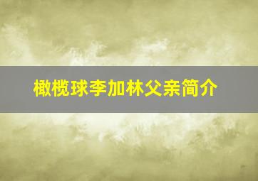 橄榄球李加林父亲简介