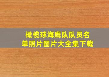 橄榄球海鹰队队员名单照片图片大全集下载