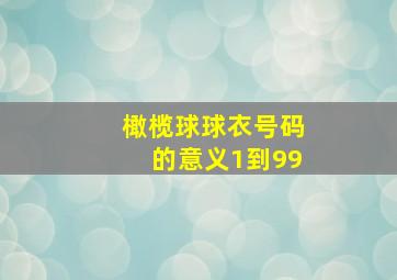 橄榄球球衣号码的意义1到99