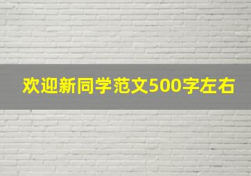 欢迎新同学范文500字左右