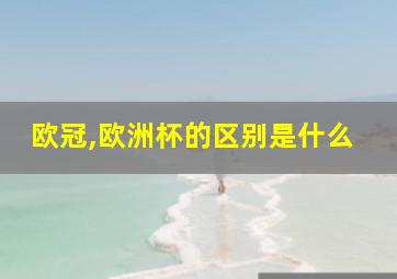 欧冠,欧洲杯的区别是什么