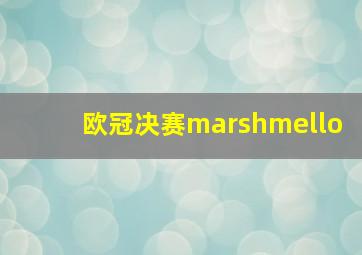 欧冠决赛marshmello