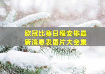 欧冠比赛日程安排最新消息表图片大全集