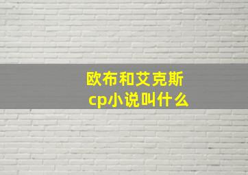 欧布和艾克斯cp小说叫什么