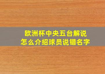 欧洲杯中央五台解说怎么介绍球员说错名字