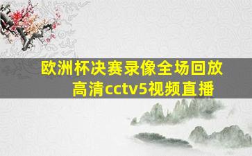 欧洲杯决赛录像全场回放高清cctv5视频直播