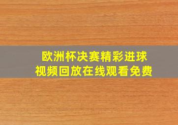 欧洲杯决赛精彩进球视频回放在线观看免费