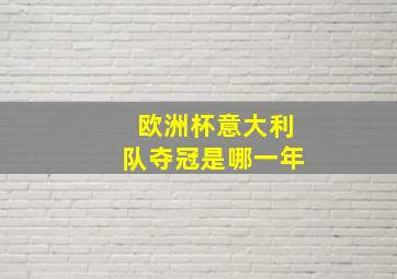 欧洲杯意大利队夺冠是哪一年