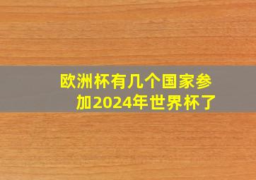 欧洲杯有几个国家参加2024年世界杯了