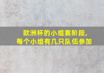 欧洲杯的小组赛阶段,每个小组有几只队伍参加