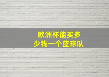 欧洲杯能买多少钱一个篮球队