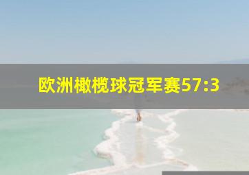 欧洲橄榄球冠军赛57:3