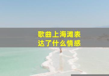 歌曲上海滩表达了什么情感