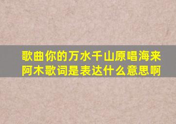 歌曲你的万水千山原唱海来阿木歌词是表达什么意思啊